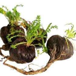 downloading-13-rfb4flwztffih8h06hiuypnxms1elb6xu79ux127pk